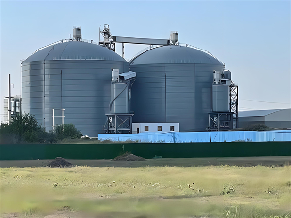 西藏钢板仓建造施工方案详解